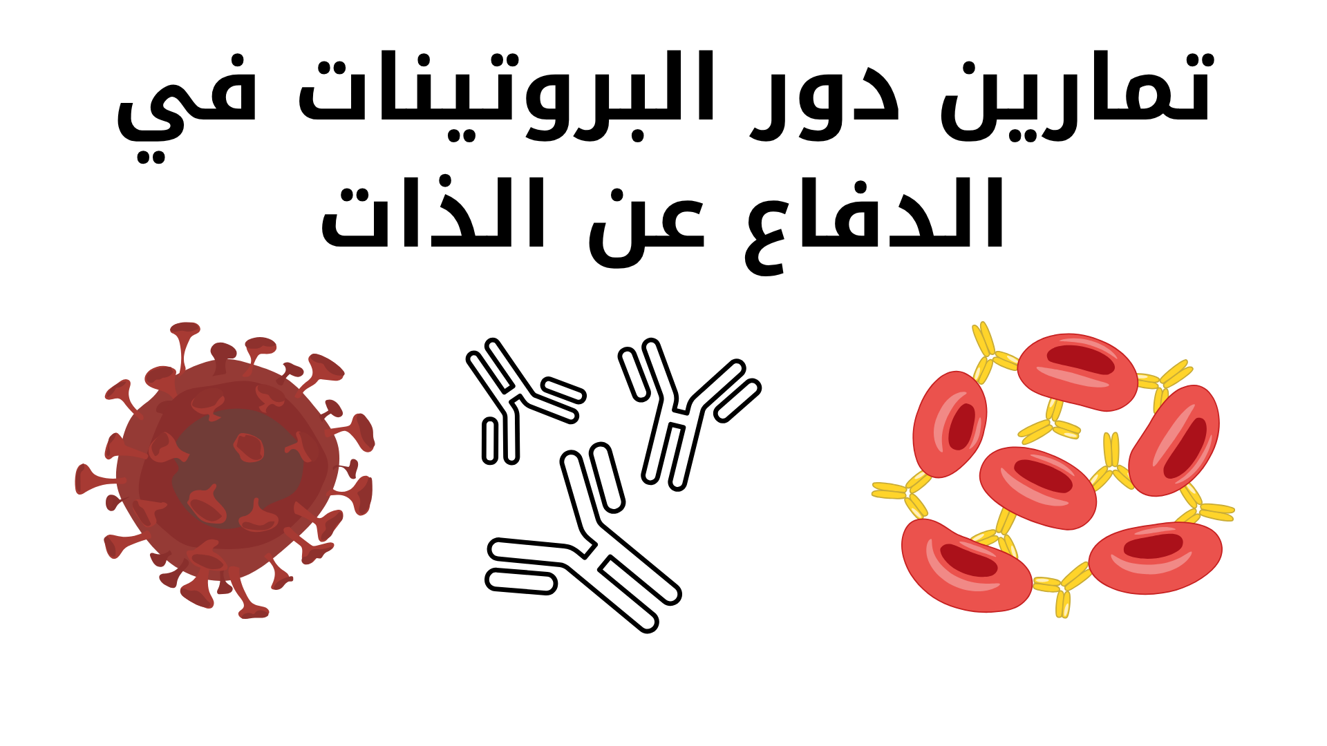 دورة تمارين دور البروتينات في الدفاع عن الذات