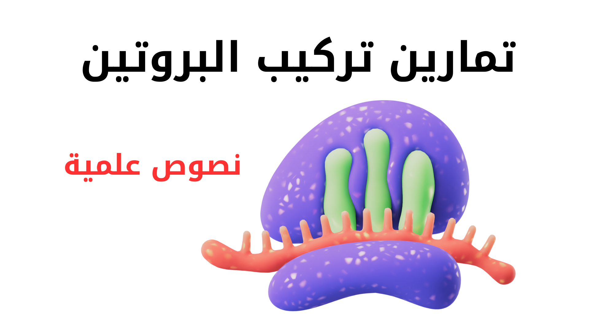 دورة النصوص العلمية في تركيب البروتين