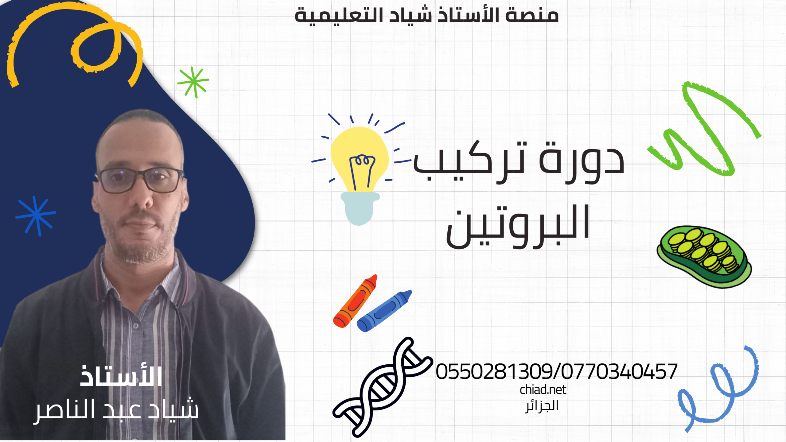 تركيب البروتين