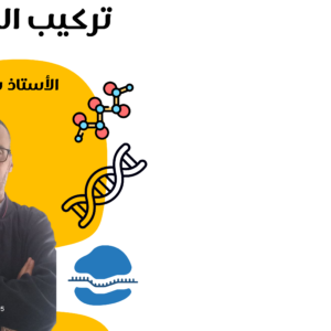 تركيب البروتين