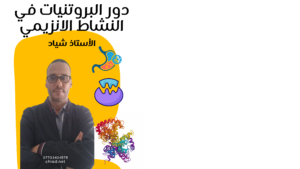 محمي: دور البروتينات في النشاط الانزيمي