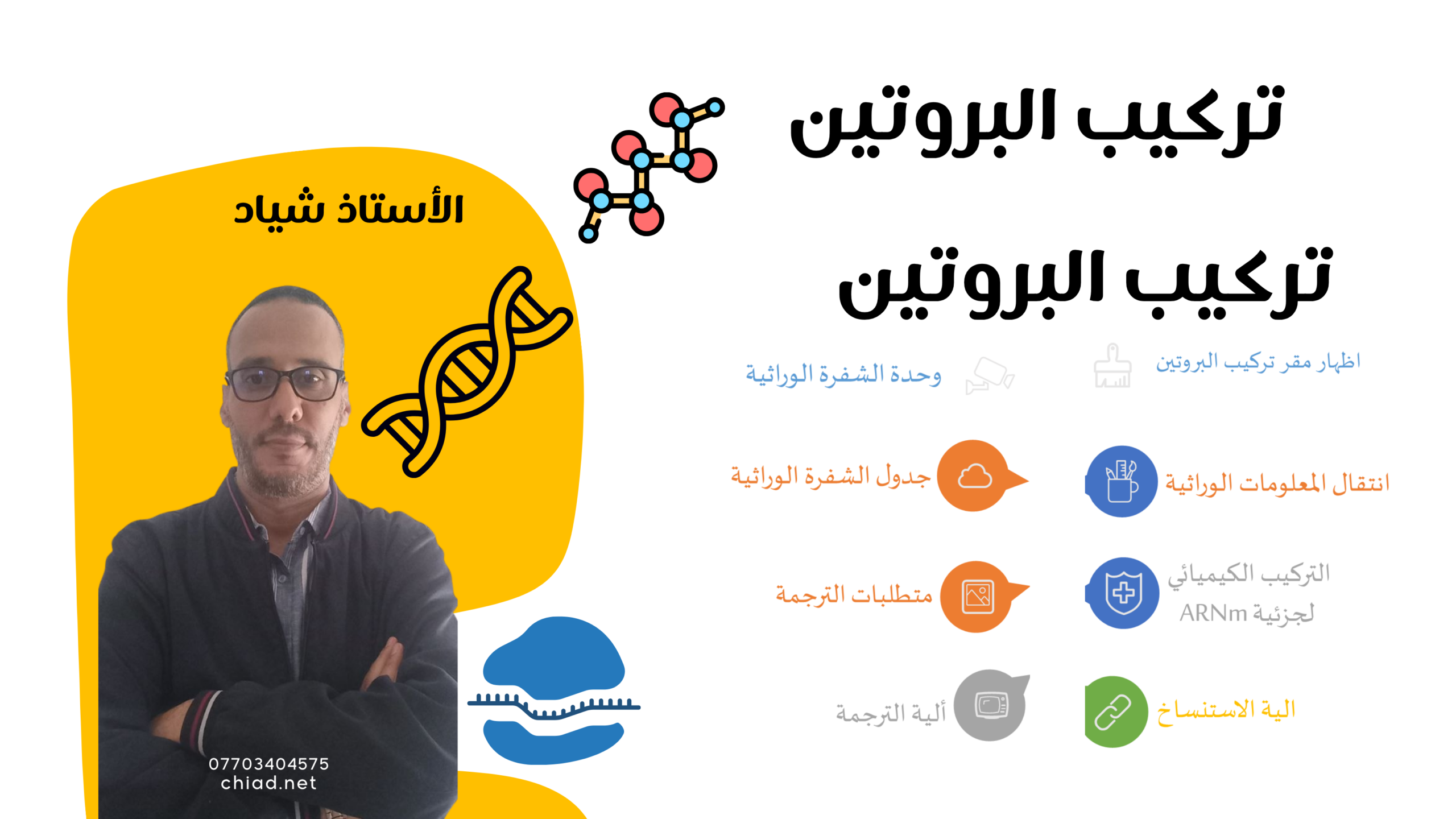 تركيب البروتين