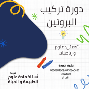 دورة تركيب البروتين