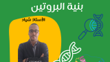 دورة تركيب البروتين