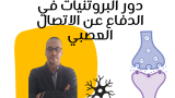 دور البروتين في الاتصال العصبي