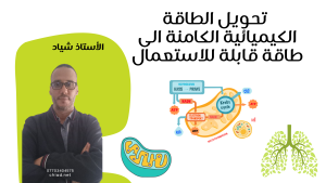 الوحدة 7 : تحويل الطاقة الكيميائية الكامنة الى طاقة قبلة للاستعمال